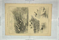 Original Old Antique Print 1885 Snipe Shooting Hunting Sport Birds Hawks 19th