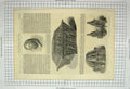 Original Old Antique Print 1867 Blacas British Museum Oblong Casket Polygonal