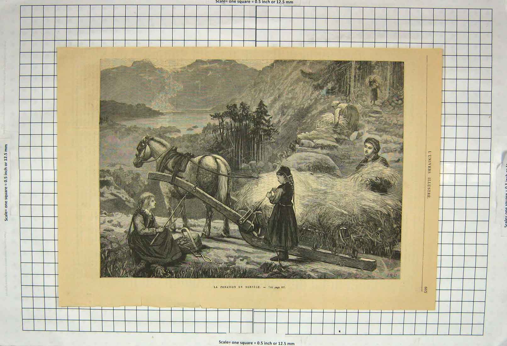 Original Old Antique Print Agriculture Horse Hay Cart Norway