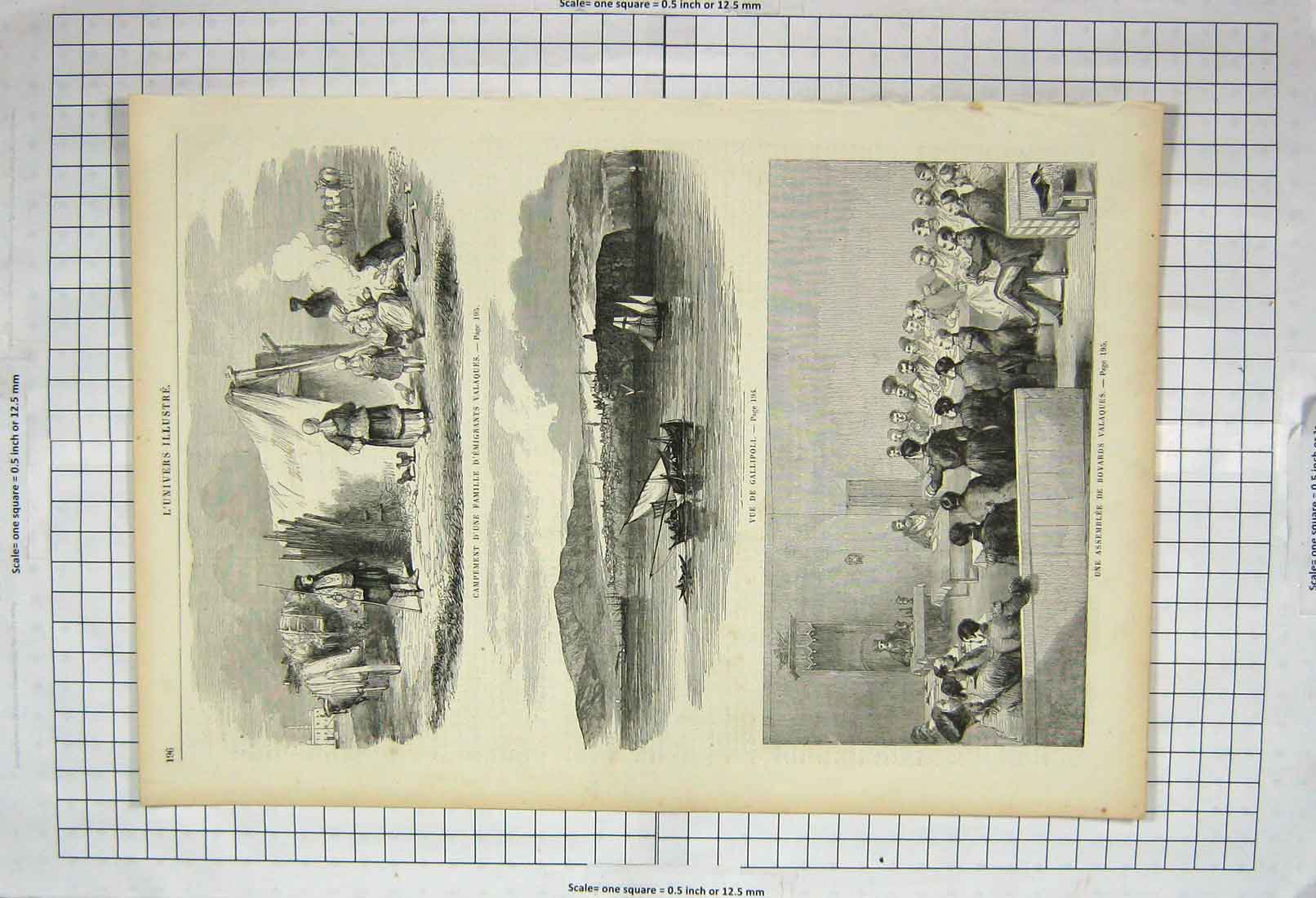 Original Old Antique Print Emigrants Camp Gallipoli Assembly Boyards Valaques