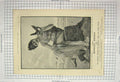 Old Antique Print 1893 Advertisement Monkey Brand Soap Washing Cleaning 19th