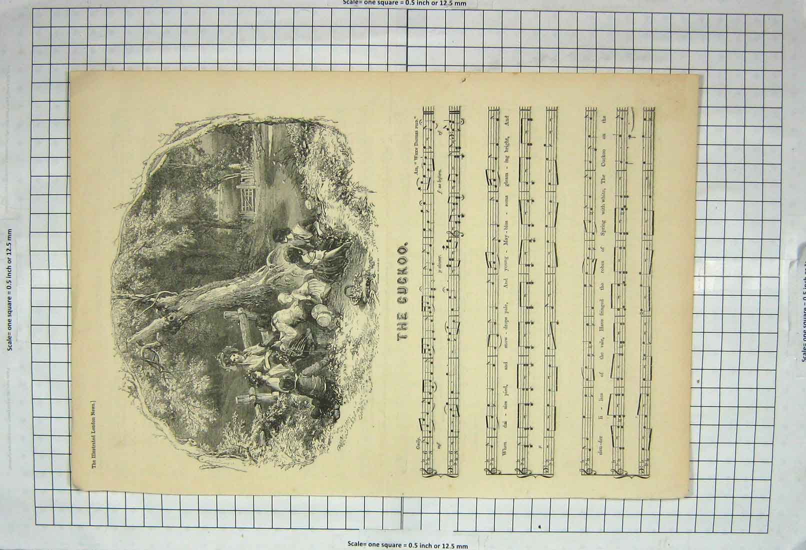 Original Old Antique Print Sheet Music Cuckoo Lyrics Song Sheet