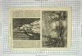 Original Old Antique Print 1860 Portrait Vicars Daughters Norbury Trees Stream