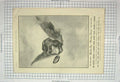 Old Antique Print 1894 Advertisement Monkey Brand Cleaning Soap Washing 19th