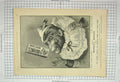 Original Old Antique Print 1895 Advertisement Monkey Brand Soap Washing Clothes