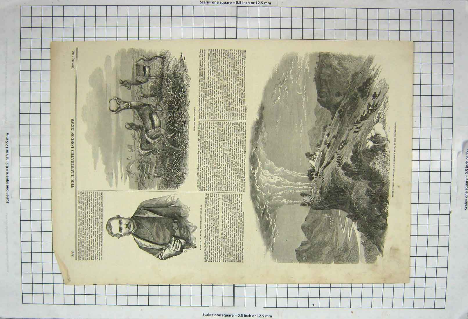 Original Old Antique Print 1853 Captain Lakeman Springboks Kaffirs Mundell War