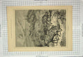 Original Old Antique Print 1886 Wild Reindeer Exhibition Cycles Royal Aquarium