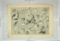 Old Antique Print 1890 Terrier Dog Club Show Queen Pathan India Muridki 19th