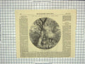 Old Antique Print 1852 Crystal Palace Hyde Park Fountain North Transept 19th