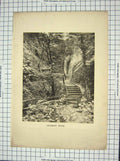 Original Old Antique Print Photograph Shanklin Chine River Trees