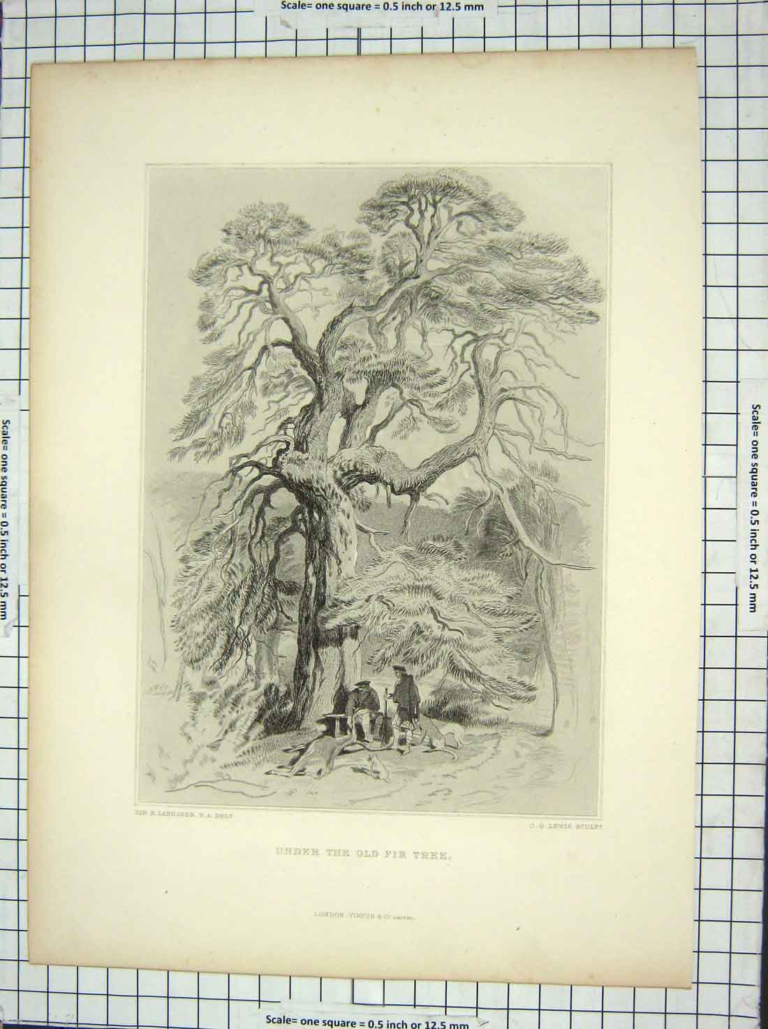 Original Old Antique Print Scene Under Fir Tree Landseer Lewis