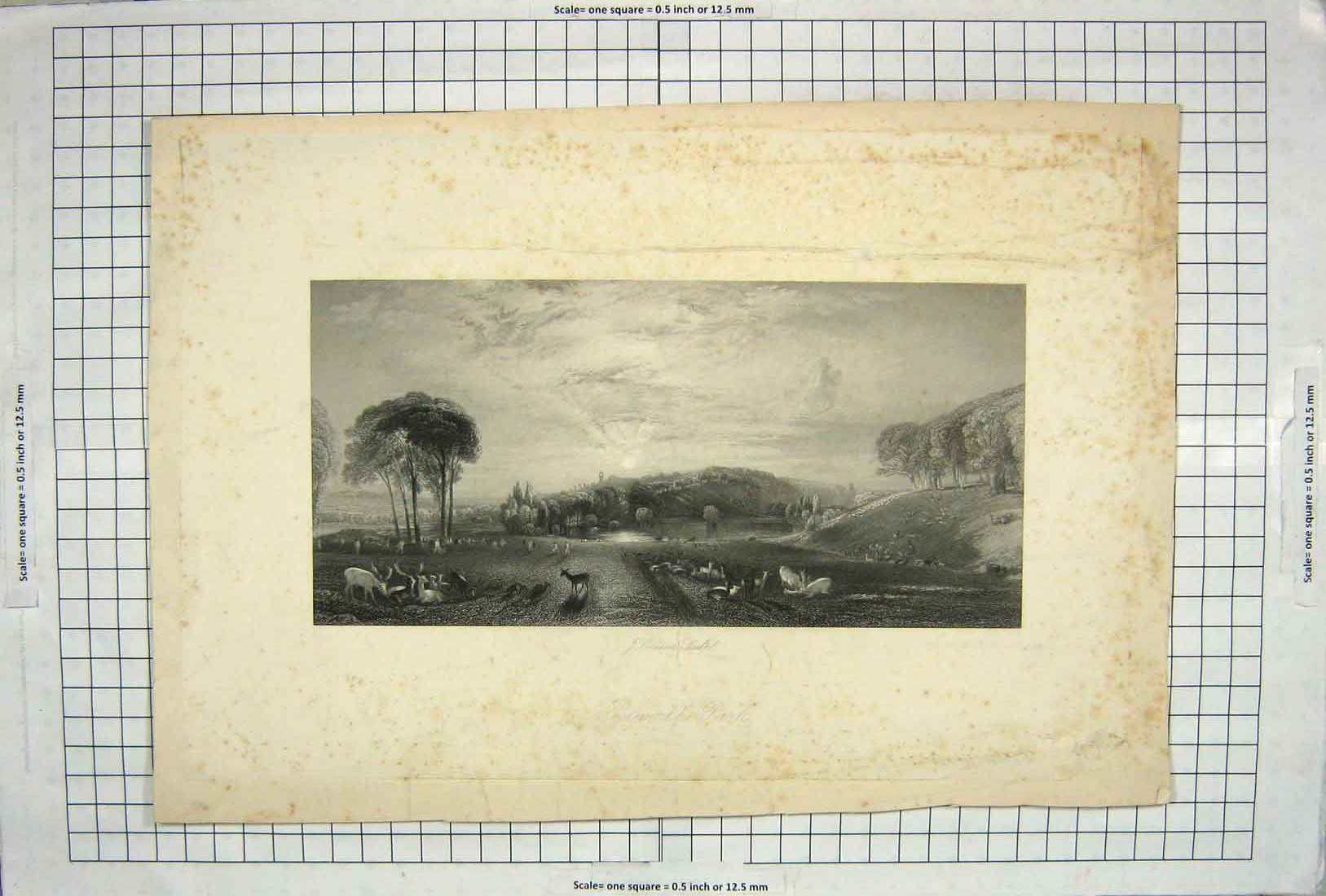 Original Old Antique Print Cousen Engraving Petworth Park Deer Animals 19th