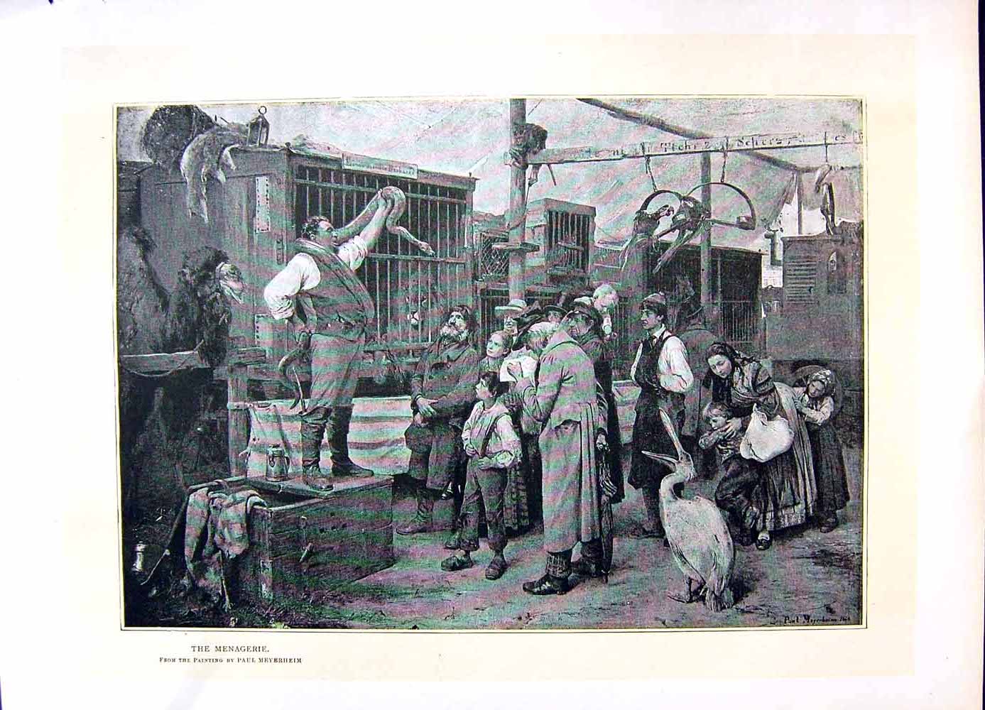 Original Old Antique Print 1896 Art Journal Menagerie Animals Sale Snake Camel