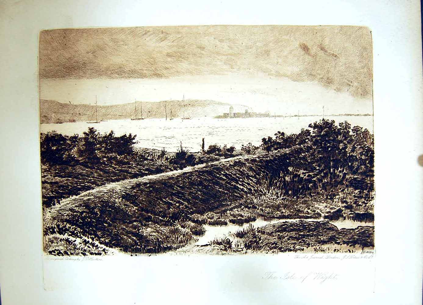Original Old Antique Print 1896 Art Journal View Isle Wight Ships Lighthouse