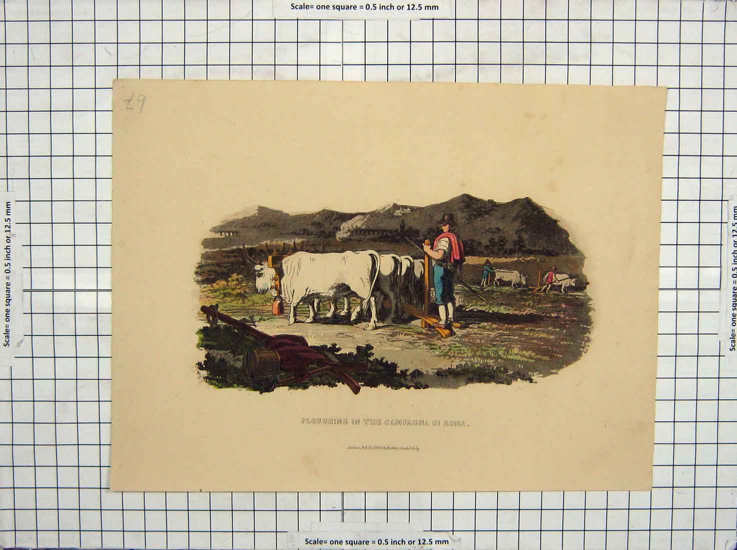 Original Old Antique Print Ploughing Campagna Di Roma Agriculture Farming Scene