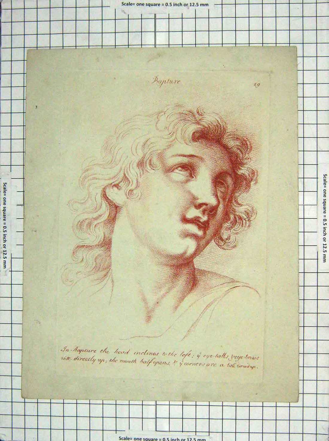 Original Old Antique Print Ladies Head Rapture Eyes Mouth 19th