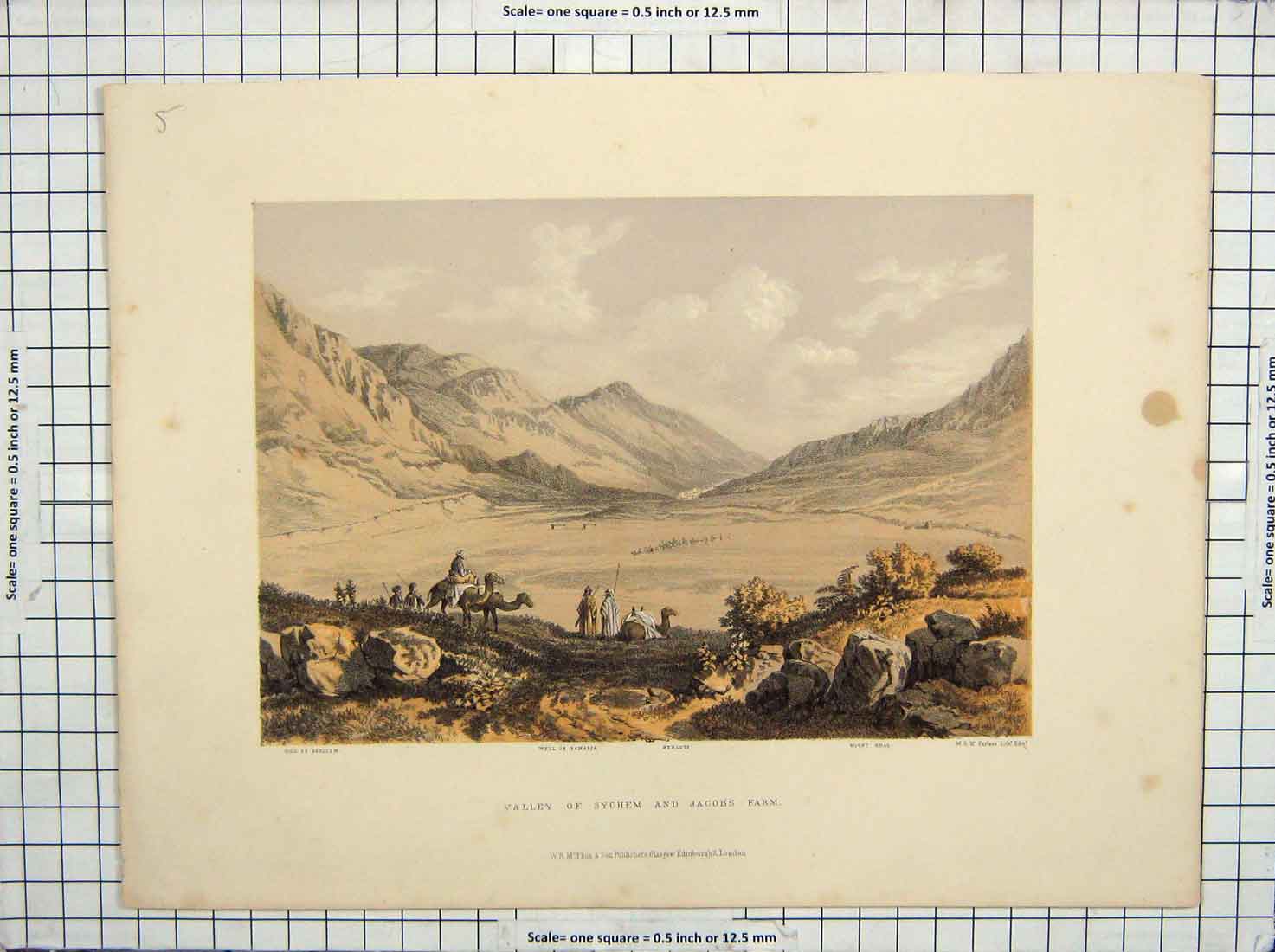 Original Old Antique Print Valley Sychem Jacobs Farm Well Samaria Neblous Mount