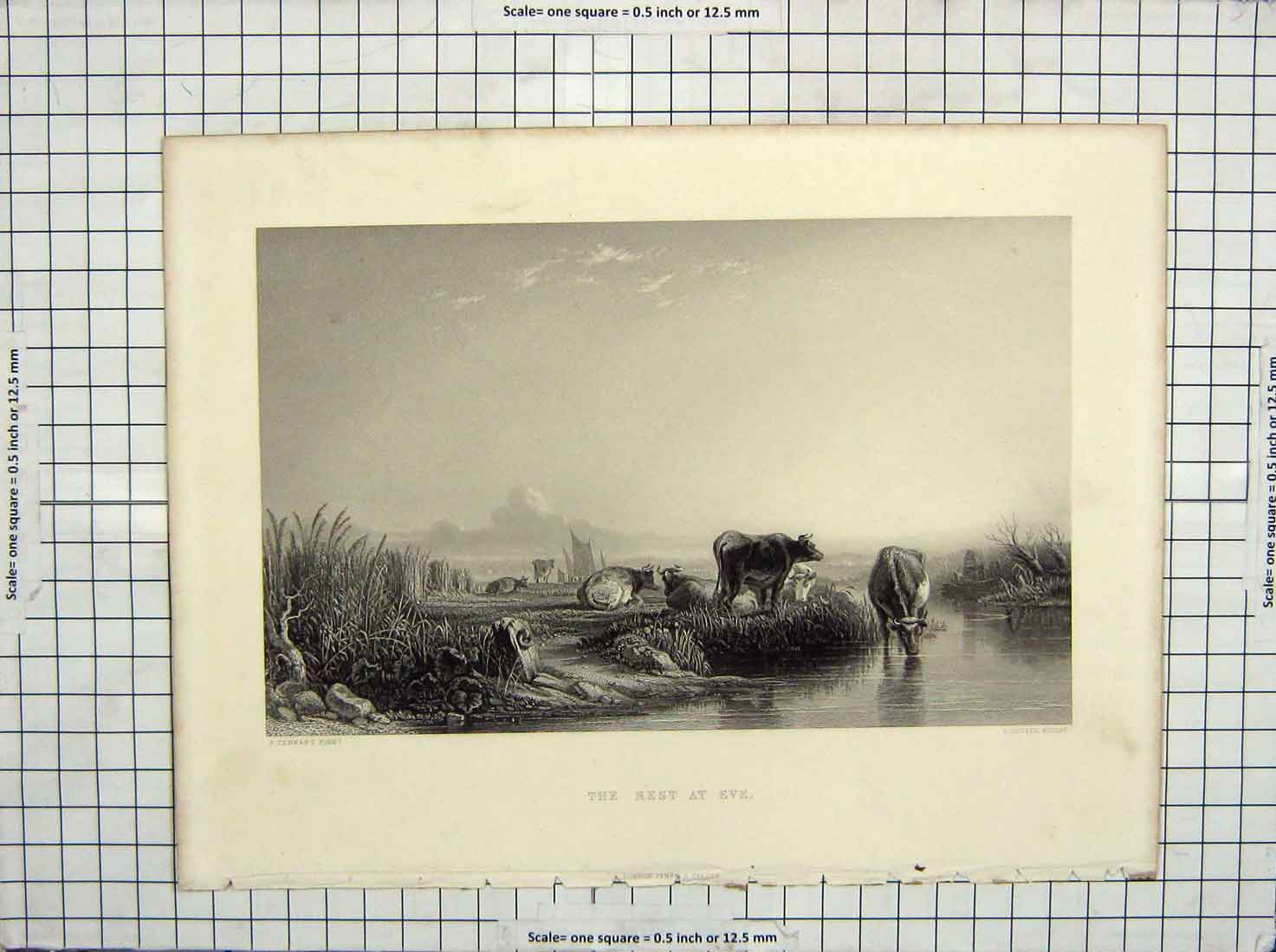 Original Old Antique Print Engraving Cousen Tennant Rest Eve Cattle Animal