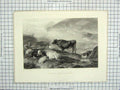 Original Old Antique Print Engraving Cousen Cooper Cattle Mountains