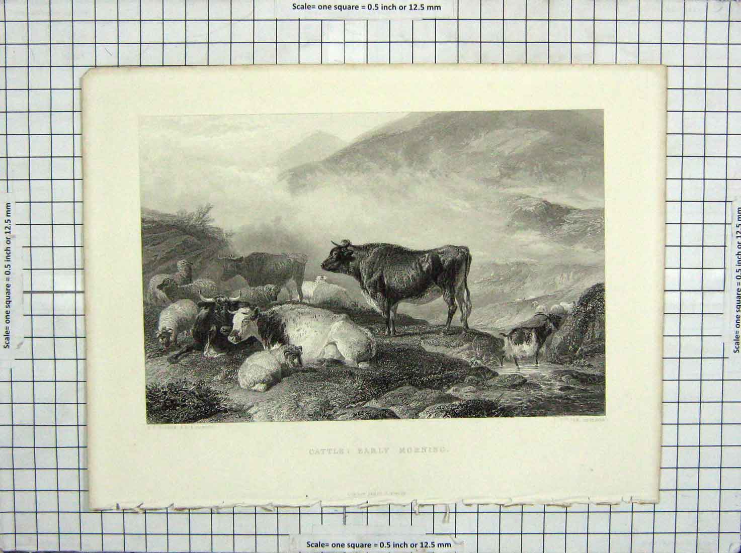 Original Old Antique Print Engraving Cousen Cooper Cattle Mountains