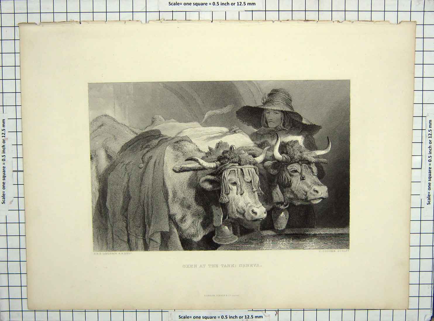 Original Old Antique Print Cousen Landseer Engraving Oxen Water Tank Geneva