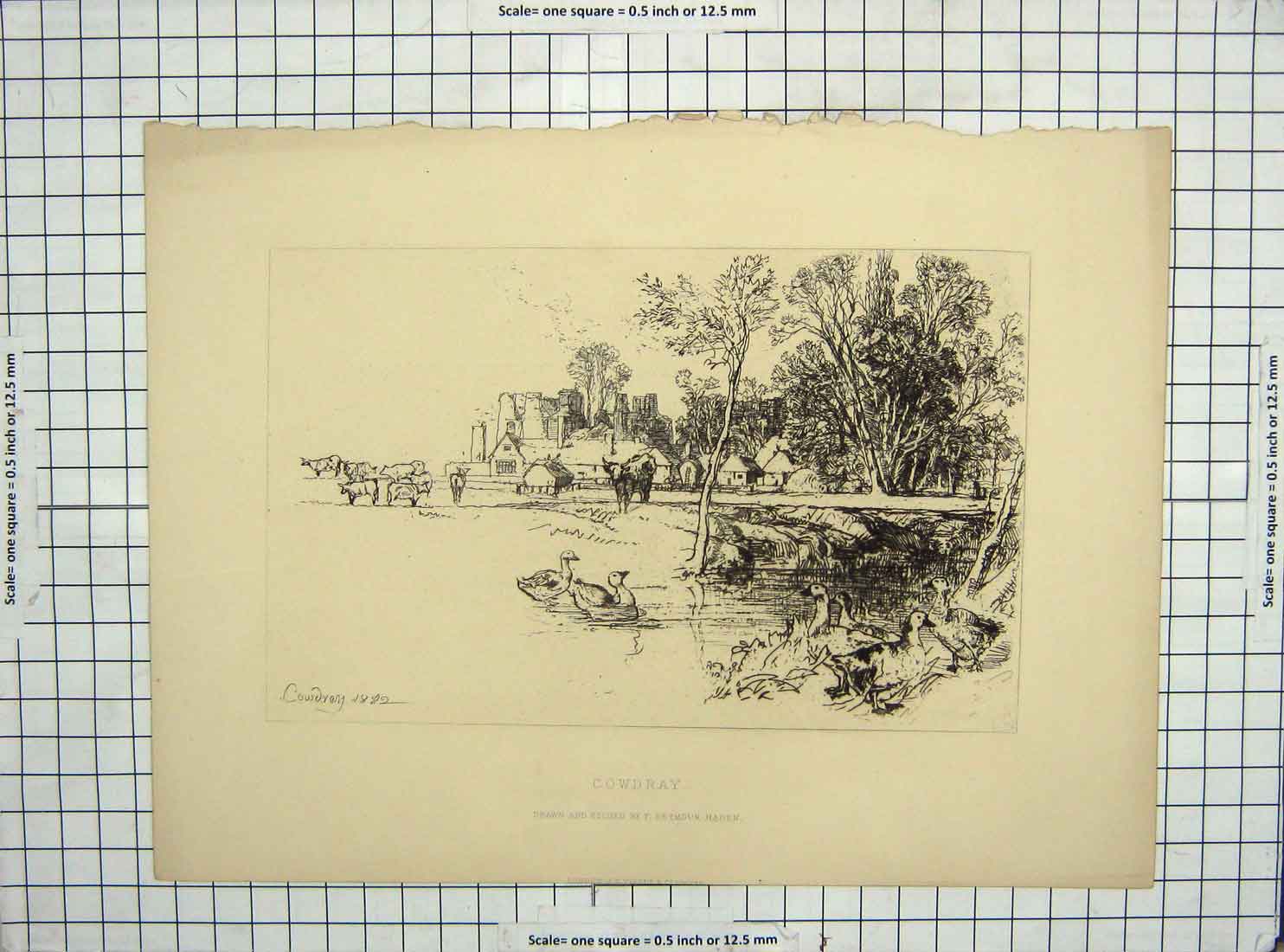 Original Old Antique Print 1882 View Cowdray Town Lake Ducks Cattle Victorian