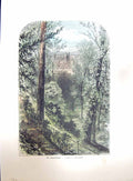 Original Old Antique Print Colour Architecture Cathedral Church Trees