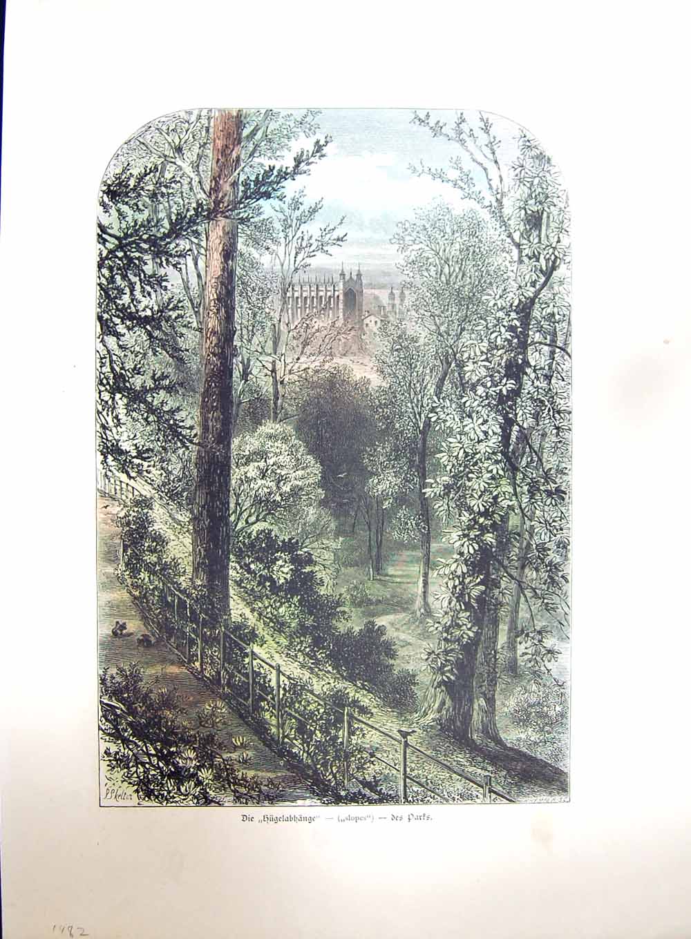 Original Old Antique Print Colour Architecture Cathedral Church Trees