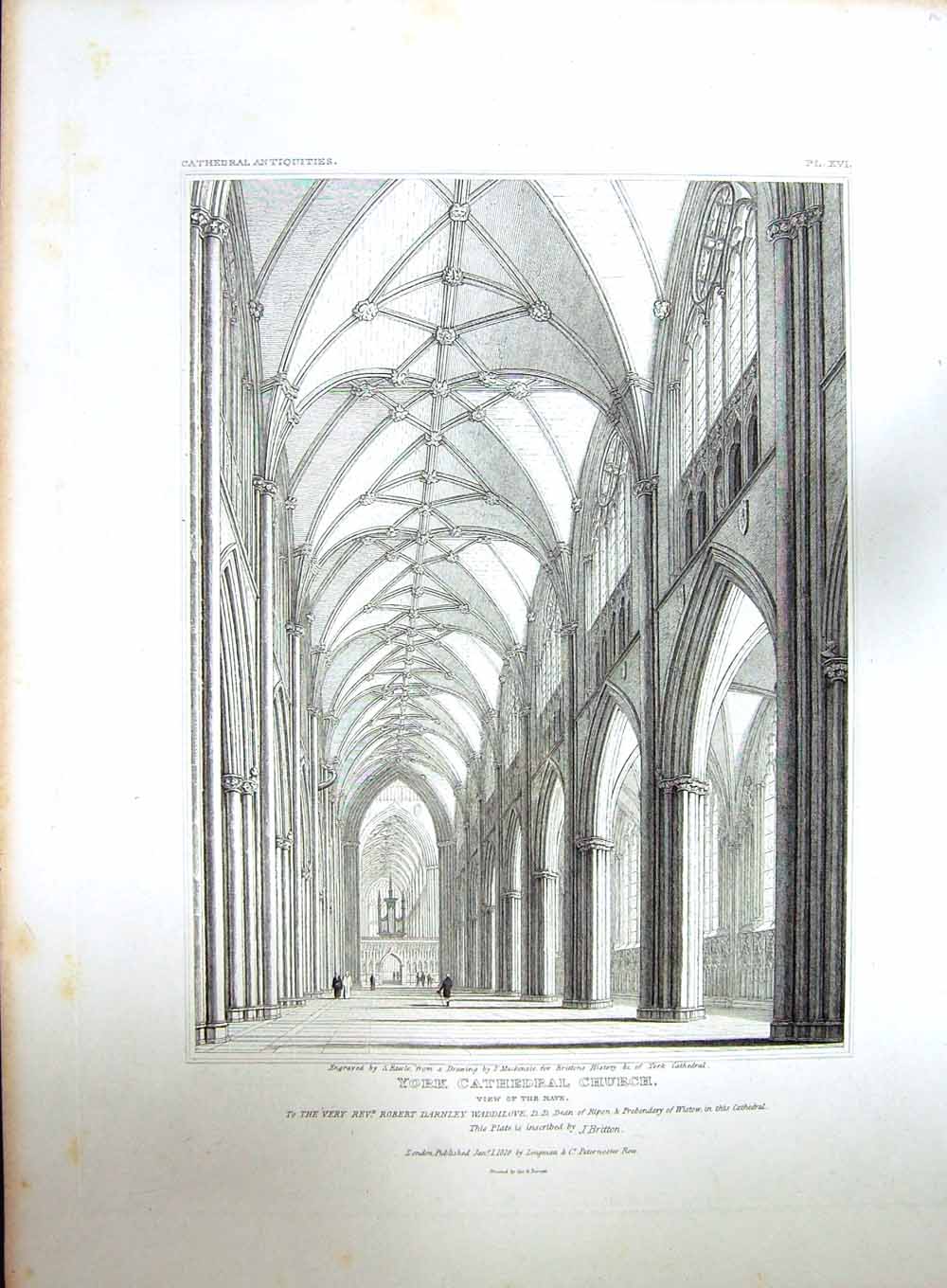 Original Old Antique Print 1818 York Cathedral Church Nave Rawle Mackenzie 19th