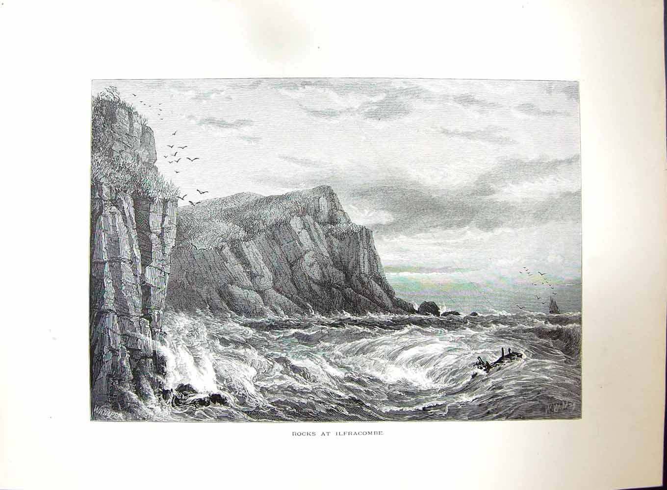 Original Old Antique Print View Rocks Ilfracombe Birds Sea Devon