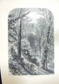 Original Old Antique Print View Cathedral Church Trees Slopes Squirrels Skelton