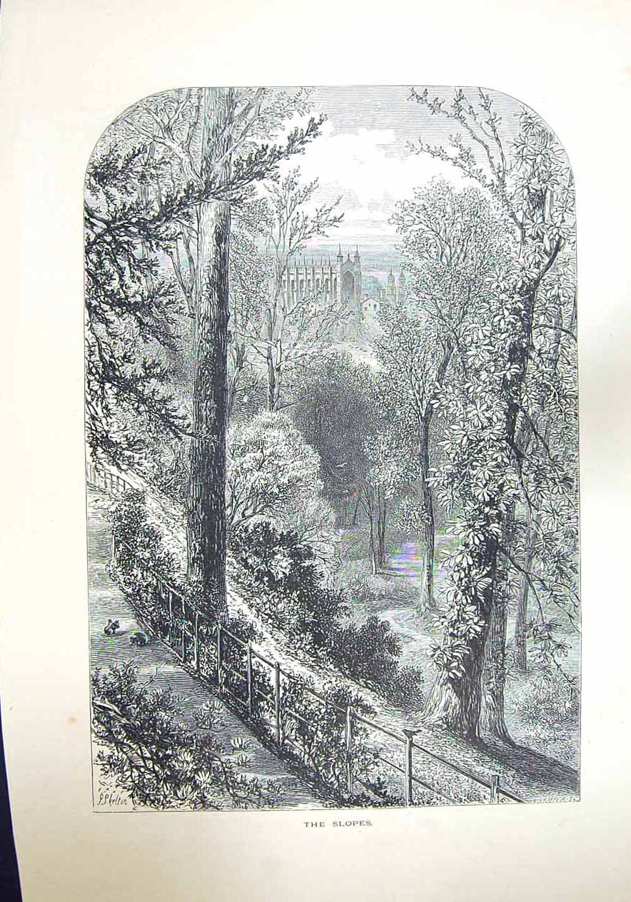 Original Old Antique Print View Cathedral Church Trees Slopes Squirrels Skelton