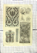 Original Old Antique Print 1893 Fashion Applique Embroidery Shoe-Pocket Italian