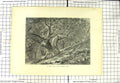 Original Old Antique Print View Coney Hill Hayes Common Kent England