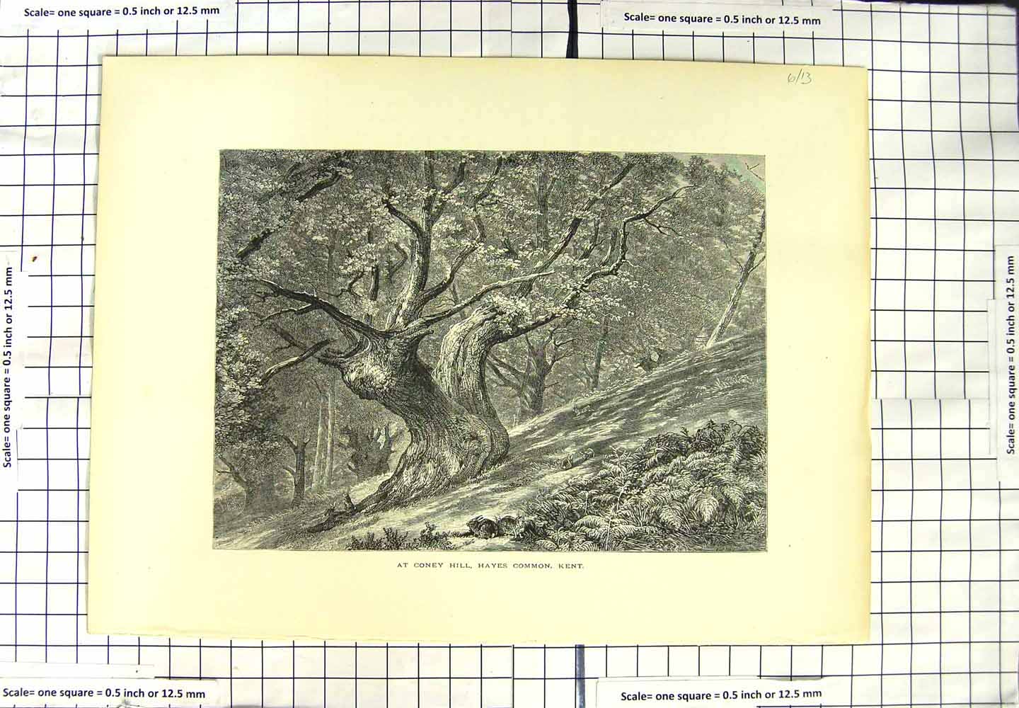 Original Old Antique Print View Coney Hill Hayes Common Kent England