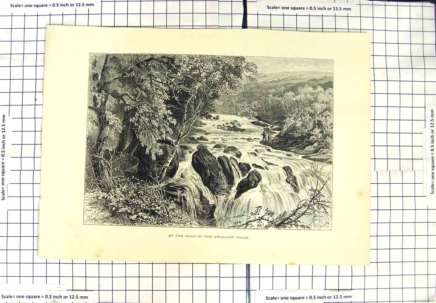 Original Old Antique Print View Head River Swallow Falls Mountains