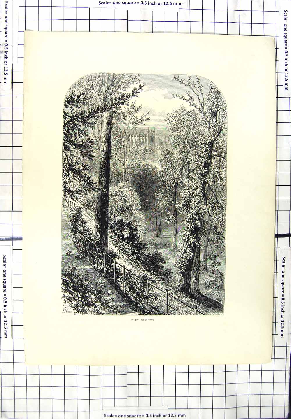 Original Old Antique Print View Slopes London Windsor Trees