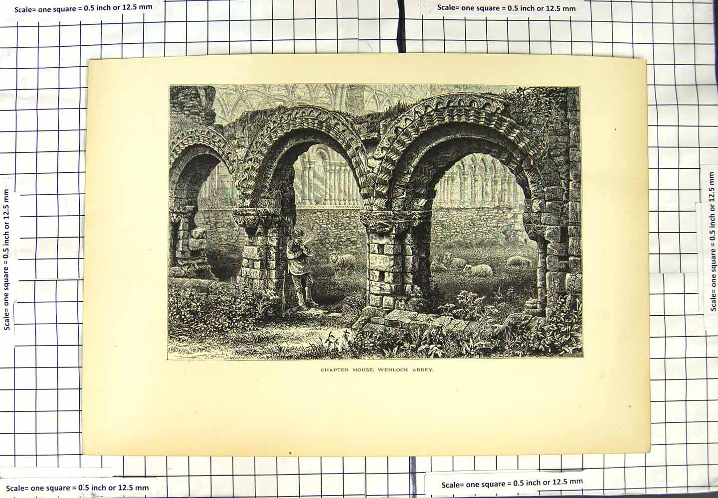 Original Old Antique Print Chapter House Wenlock Abbey Sheep 19th