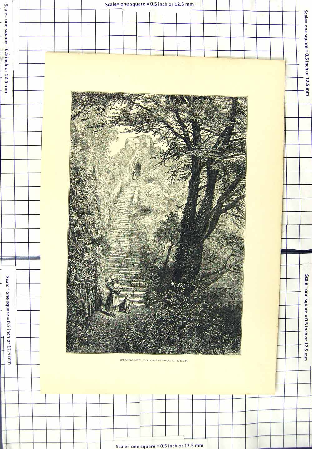 Original Old Antique Print Staircase Carisbrook Keep Castle