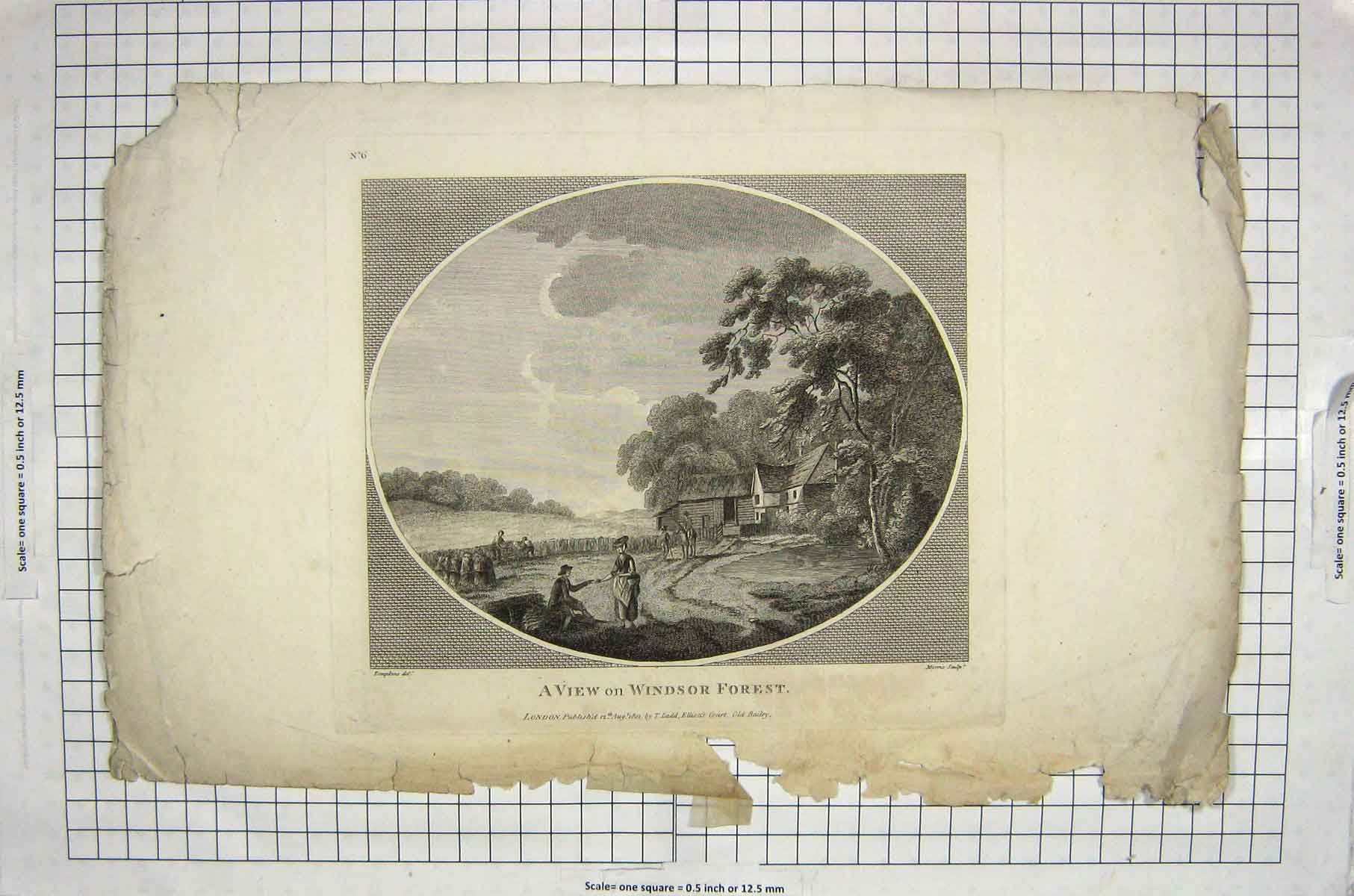 Original Old Antique Print 1801 View Windsor Forest London England Engraving