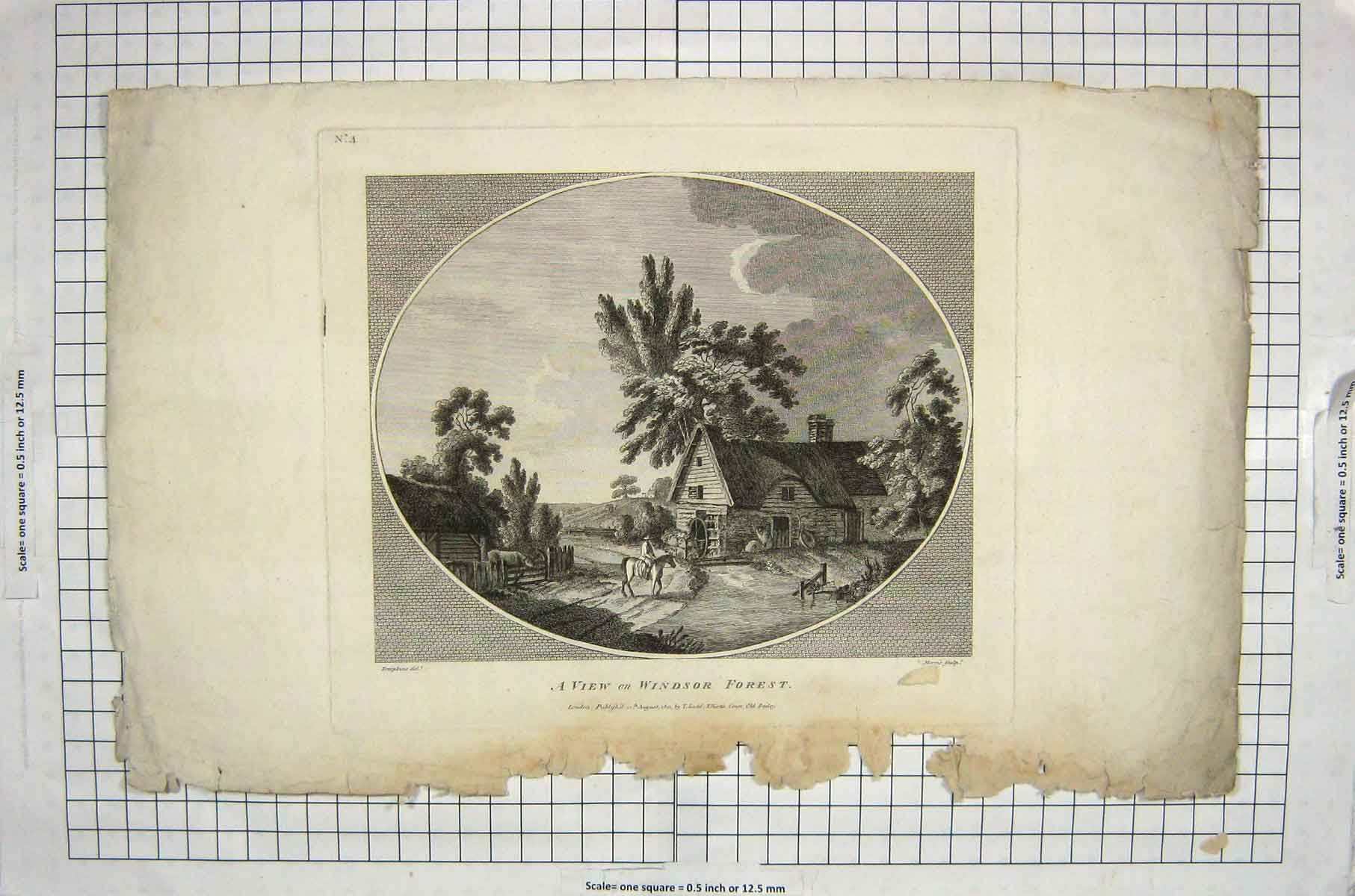 Original Old Antique Print 1801 View Windsor Forest London House Farm Horse