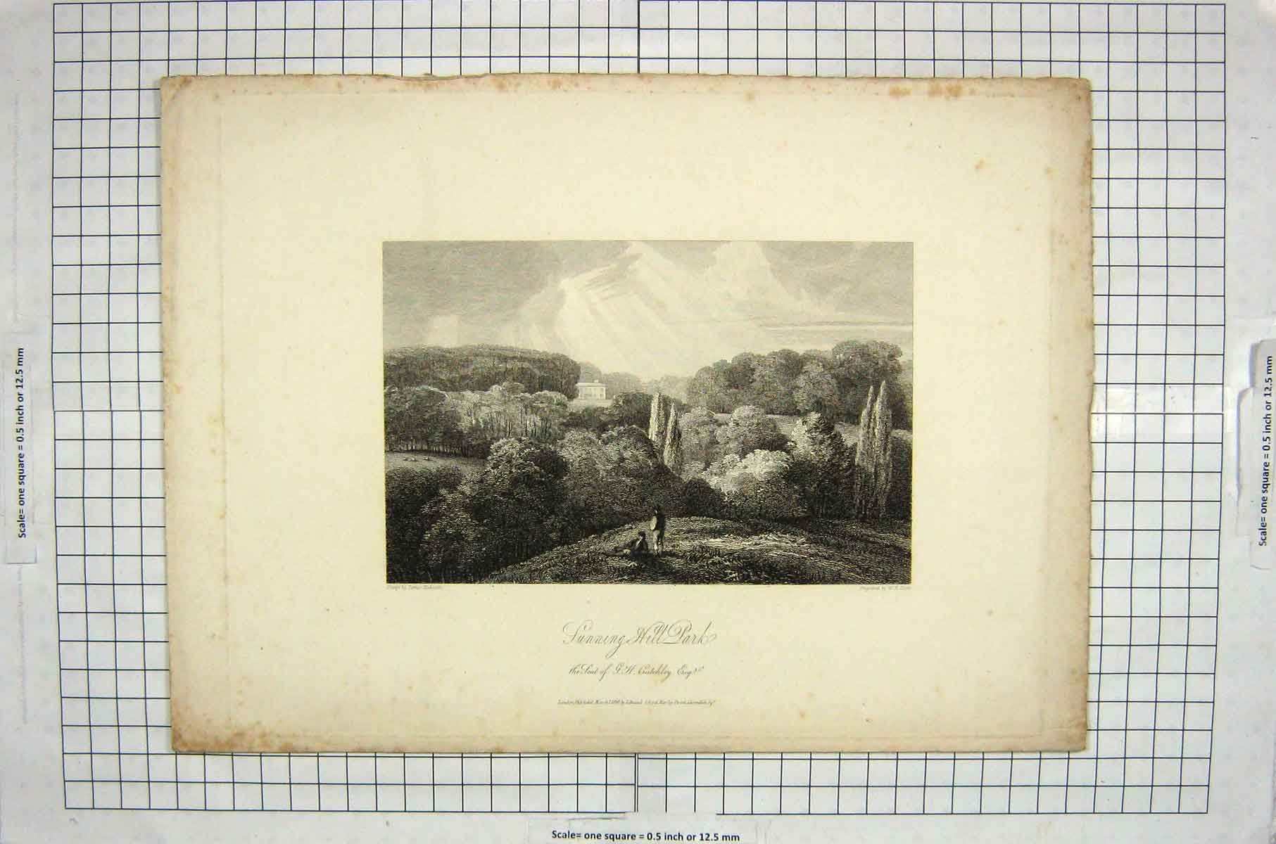 Original Old Antique Print 1821 View Sunning Hill Park Seat Crutchley Cooke