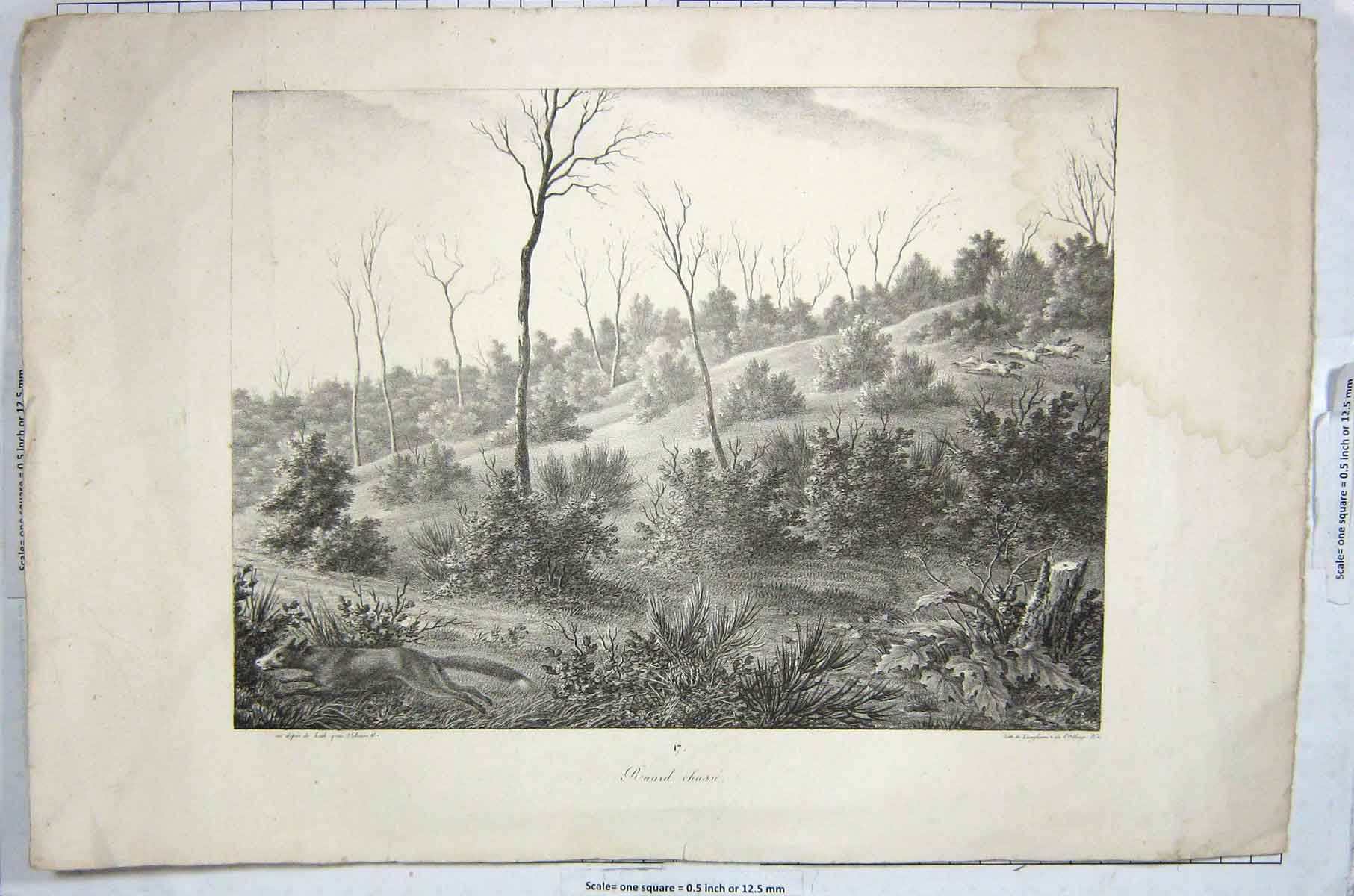 Original Old Antique Print Benard Chass Fox Hunting Countryside Trees Sport