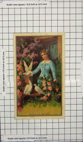 Original Old Antique Print Colour Beauty And Her Pets Birds Beautiful Girl