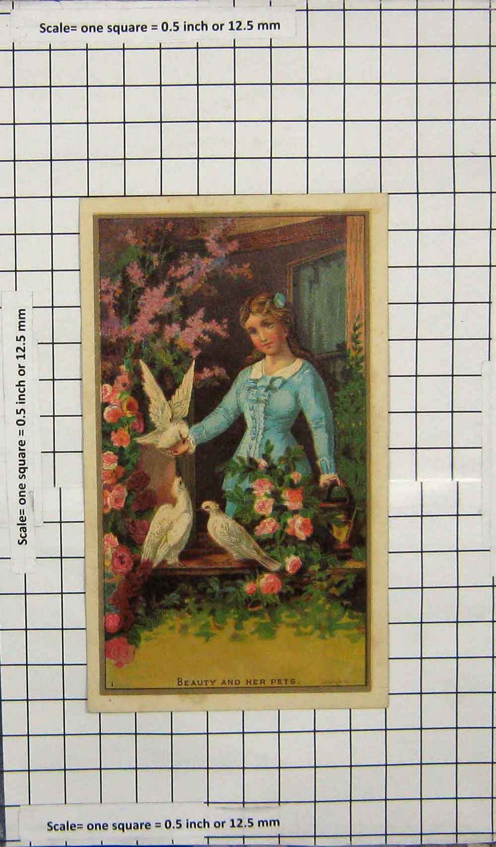 Original Old Antique Print Colour Beauty And Her Pets Birds Beautiful Girl