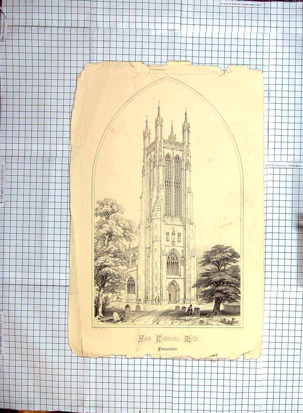 Original Old Antique Print Architecture Cuthbert'S Wells Church Somersetshire
