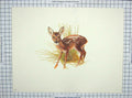 Original Old Antique Print Colour Fawn Deer Willi Schnabel