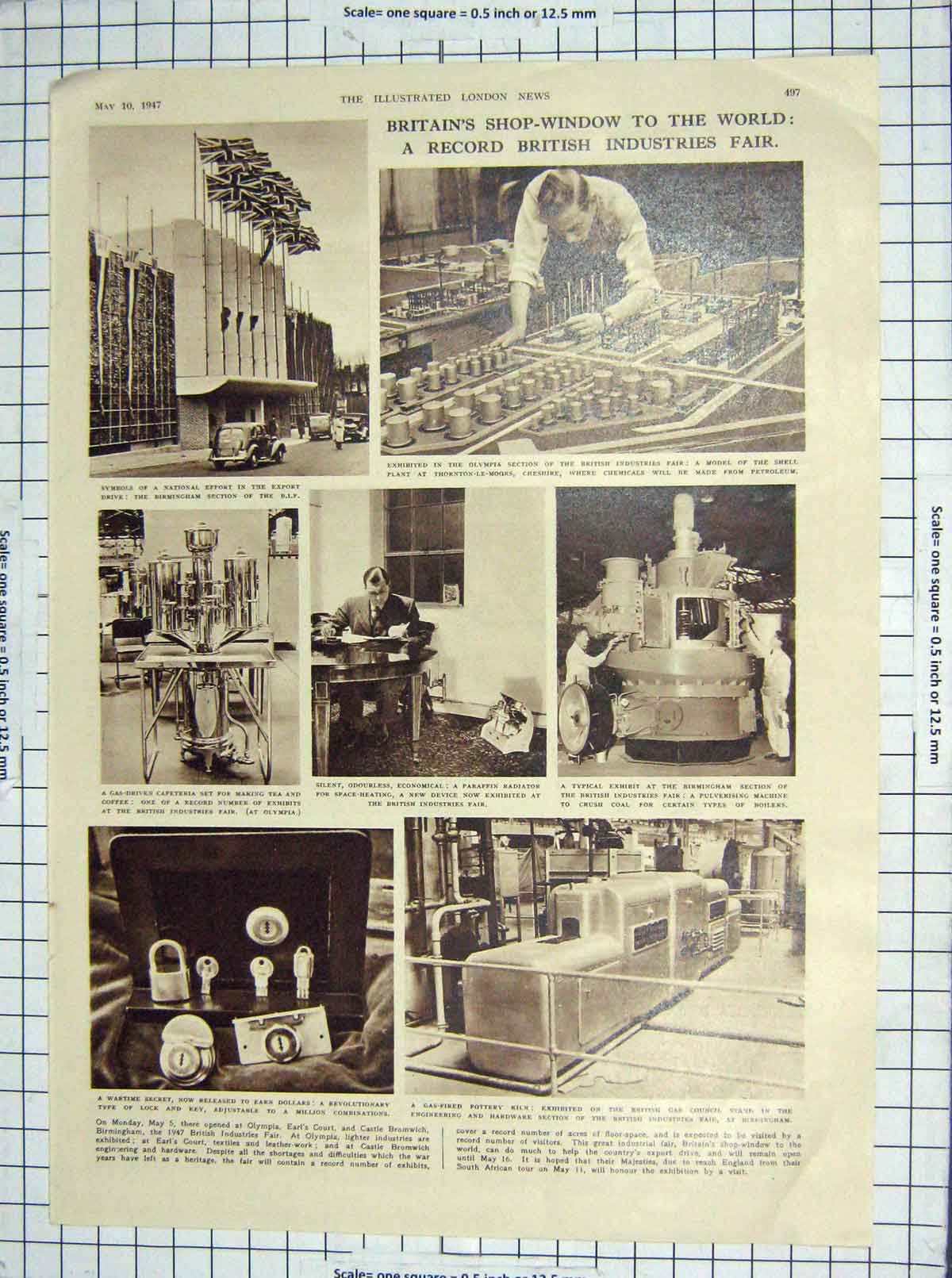 Original Old Vintage Print 1947 Olympia British Industry Fair Kittiwakes Birds
