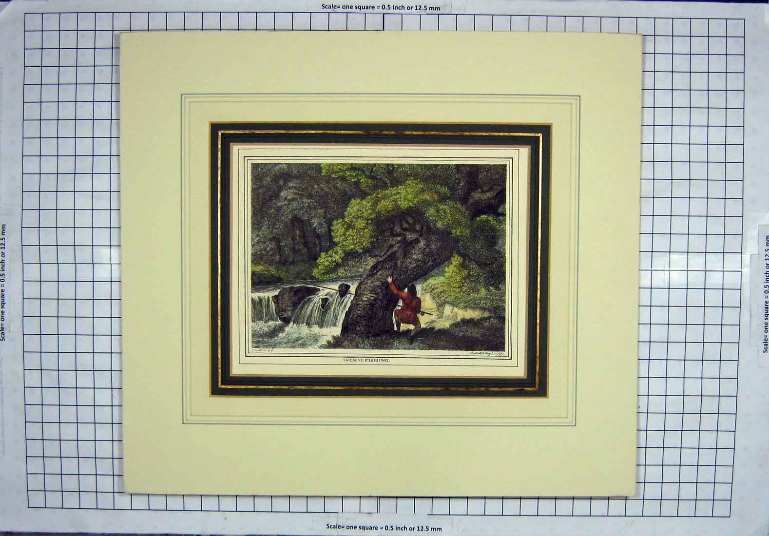 Original Old Antique Print Colour Worm Fishing River Fish Trees