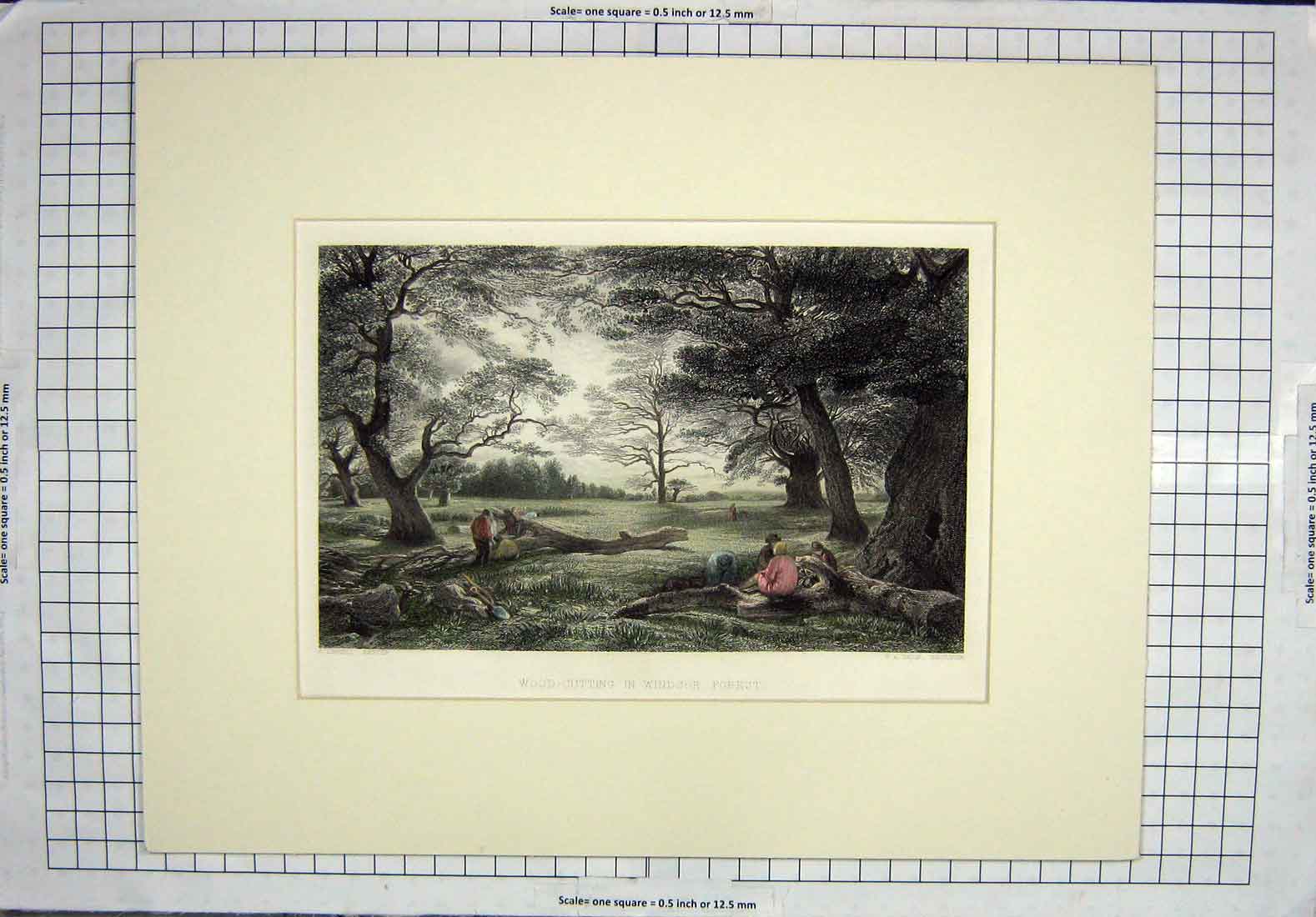 Original Old Antique Print Wood Cutting Scene Windsor Forest London Trees Prior